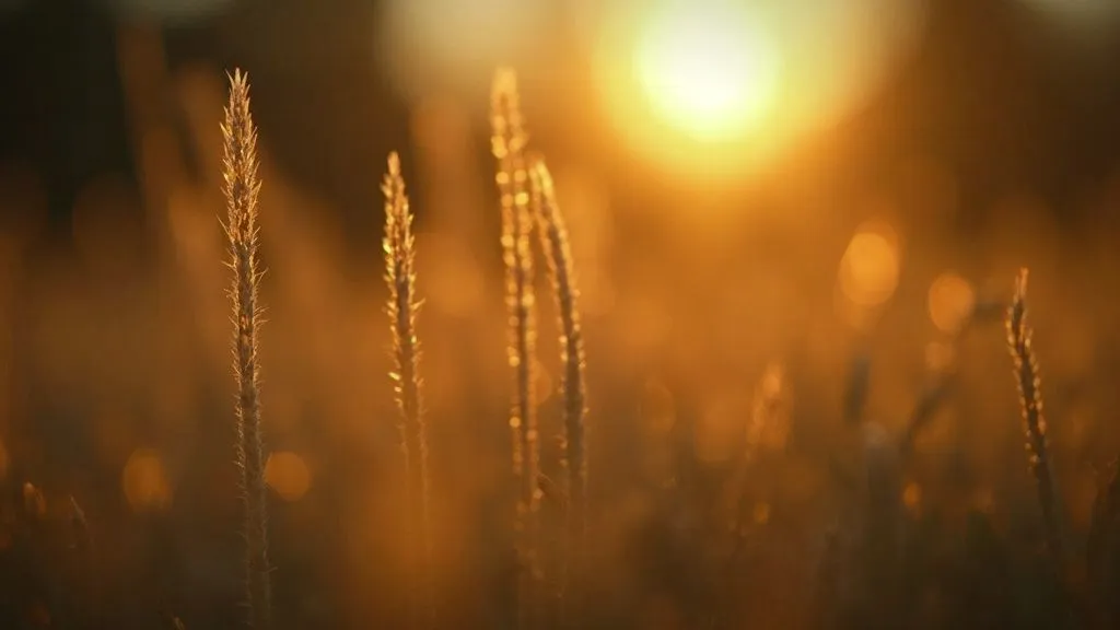 Understanding the Various Ways Spirituality Can Enhance Daily Life